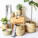Cesto de Fibra Natural pra Plantas e Organização