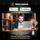 Lâmpada LED Inteligente WiFi RGB